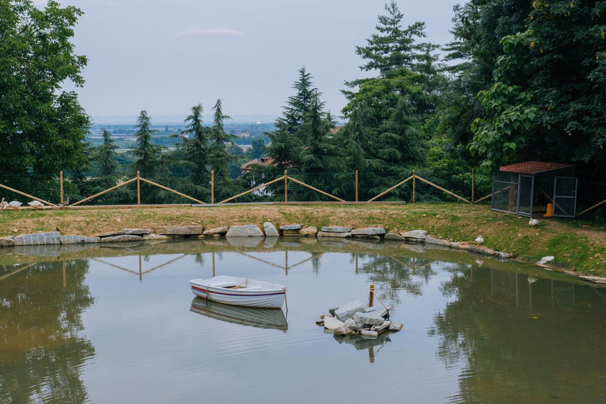 Agriturismo Agli Ulivi Салуцо Екстериор снимка